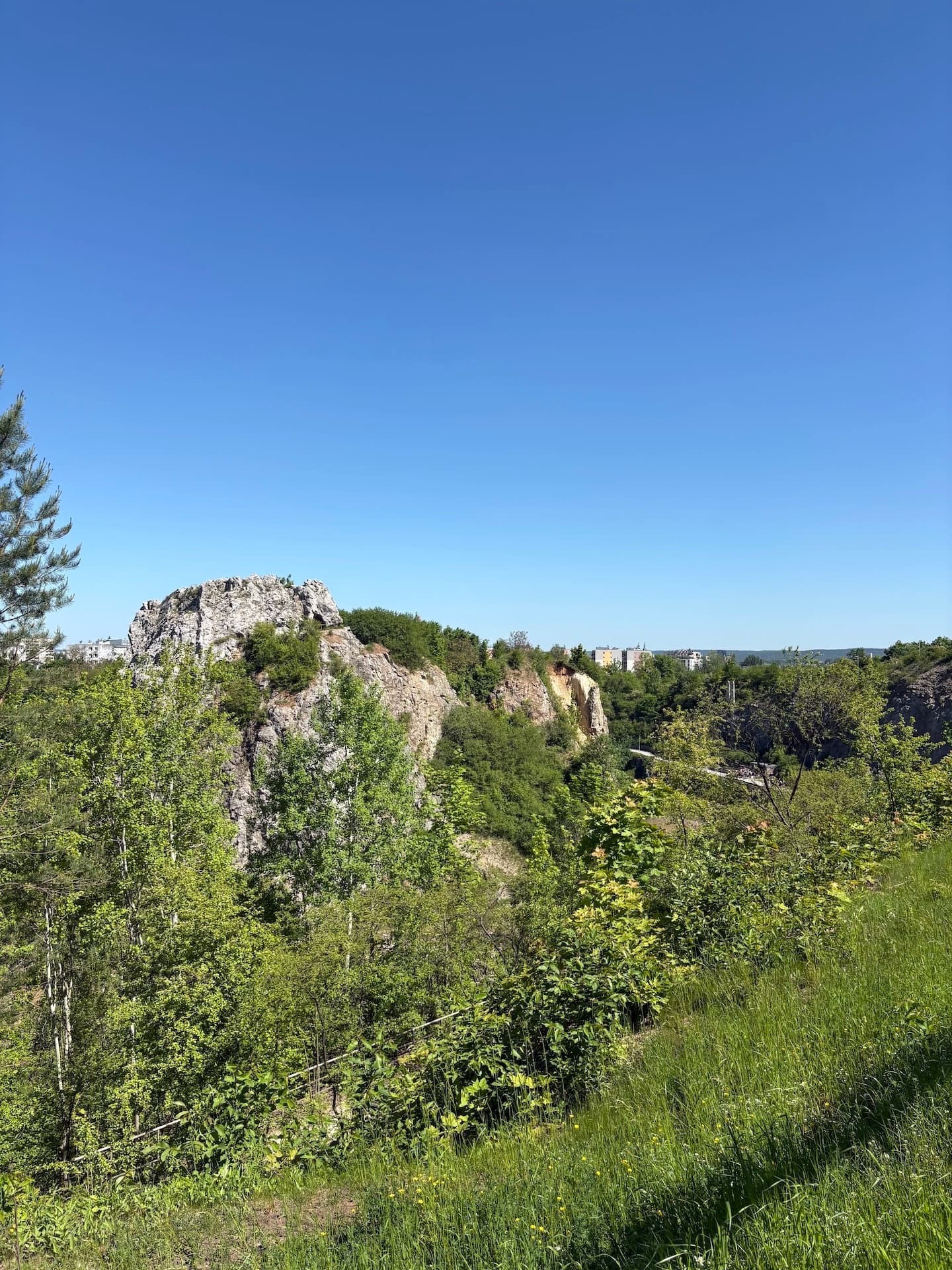 zdjecie z galerii