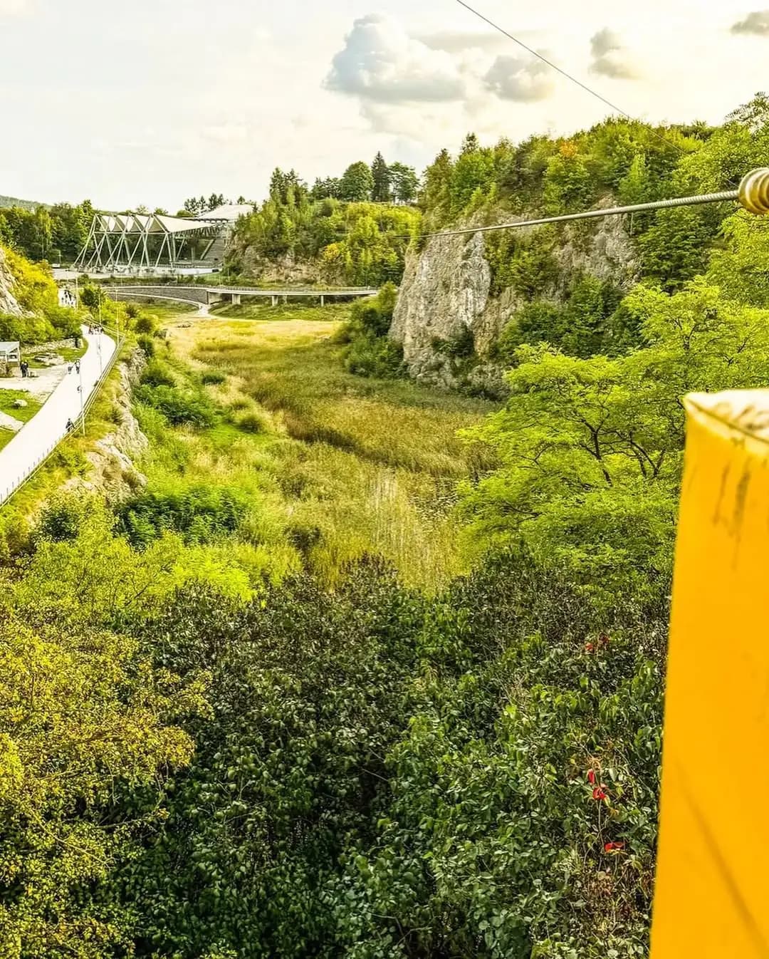 zdjecie z galerii